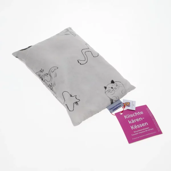 COU23814200000310000_coussin_de_noyaux_001