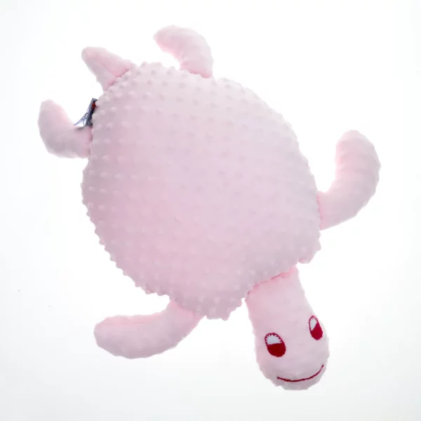 COU24024030000000000_coussin_tortue_001